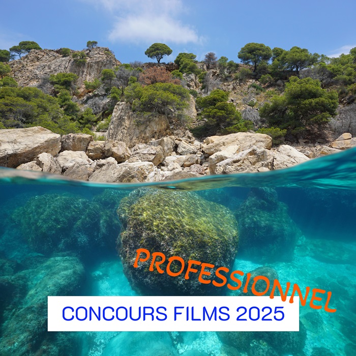 L’image Mi-air – Mi-eau – Videaste professionnel